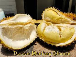 Jenis durian yang anda suka. Ini Dia Daftar Harga Buah Durian Terkini 2021 Aplikasi Pertanian Media Agribisnis Gdm Agri