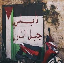 صور من مدينة نابلس الفلسطينية نابلس جبل النار Neon Signs Palestine Neon