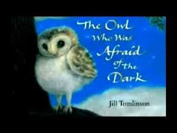 Thw Owl Who Was Afraid Of The Dark Owl Who Owl Light In The Dark