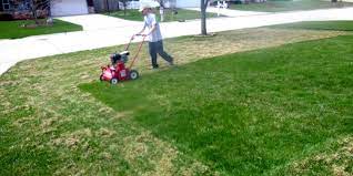 Dethatching is not nearly as big a part of lawn care as is mowing. Benefits Of Dethatching And Aerating Your Lawn Milorganite