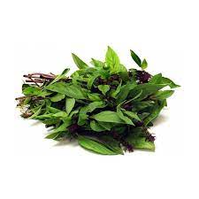 Supaya tanaman selasih saya lebih sihat, hidup lebih. Basil Leaves Daun Selasih Sold Per Pack Horeca Suppliers Supplybunny