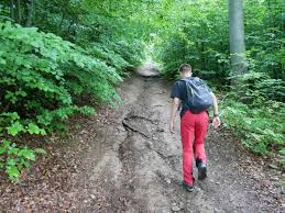 Maybe you would like to learn more about one of these? Chelmiec 851 M N P M Gory Walbrzyskie Korona Gor Polski Podroze Bez Osci