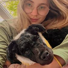 Looking for dog food can for sale?