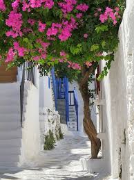 Mykonos Greece Mykonos Belle Photo Paysage