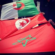 Vous pouvez trouver ici un coloriage imprimable gratuit drapeau algérie avec un échantillon pour les enfants et les adultes. On Est Des Freres Tunisie Drapeau Tunisie Drapeau Algerie