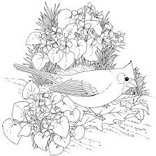 Easy bird coloring pages for adults. Easy Coloring Pages Flowers In A Pot Free Adult Coloring Pages Coloring Home