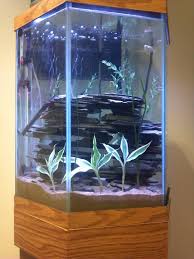 Hexagonal Tank With Rock Stacking Aquarium Design Hexagon Fish Tank Aquarium
