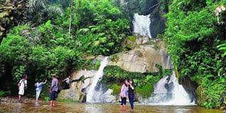 Banyak orang ingin hidup di taman firdaus (taman eden), tetapi karena mereka tidak tahu letaknya dimana, jadi mereka menganggap taman. Merengkuh Quot Surga Quot Di Taman Eden 100 Halaman All Kompas Com