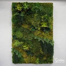 Custom Moss Succulents And Fern Art Amazonia Collection Etsy In 2020 Plant Wall Decor Moss Wall Art Plant Wall