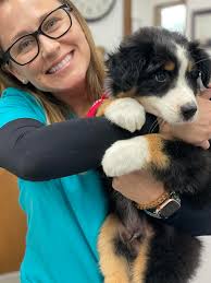 Meet our staff Monday! Today we'd like to introduce Mrs.Sarah Kinard Sarah  Kinard has been working in the veterinary field since 2005. She is our  Financial Manager. She has always had a