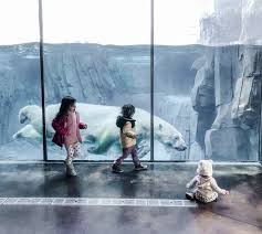 When stepping out of the house is not an option, indoor activities are an excellent choice for engaging toddlers. 68 Best St Louis Kids Activities From A Native St Louisan Mom Lovely Lucky Life