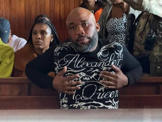 LISTEN: Ad hoc committee question 'Cat' Matlala on R300m SAPS contract