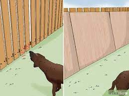 My neighbor has three dogs and they keep digging their way under my fence and into my yard. 3 Ways To Safely Keep Your Dog In The Yard Wikihow