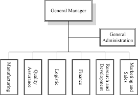 Organizational Structure Of The Exemplified Company