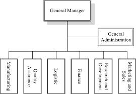 organizational structure of the exemplified company