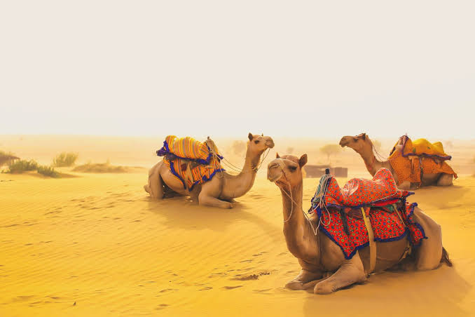 Jaisalmer Golden Fort sightseeing