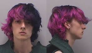 Devon Erickson's Instagram, Twitter & Facebook