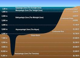 Deep ocean basin with steep (average 10 degrees) slope toward land, more gentle slope (average 5 degrees) towards the sea, and abundant seismic activity on landward side of trench. Layers Of The Ocean Deep Sea Creatures On Sea And Sky Ocean Zones Layers Of The Ocean Earth And Space Science