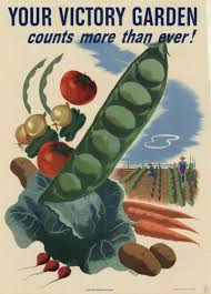 victory garden wikipedia