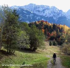 718 likes · 63 talking about this. Piatra Craiului ZÄƒrneÈ™ti Plaiul Foii È™i Retur Bikemap Deine Radrouten