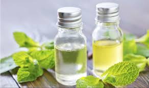 Image result for MENTHA OIL