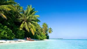 This collection presents the theme of hd wallpapers nature 1080p. Hd Windows 10 Wallpaper Maldives Nature Palm Tree Beach 1920x1080 Wallpaper Teahub Io