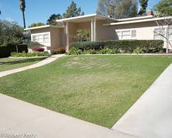 Image result for Lippia