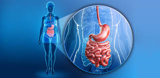 Job Oberarzt Gastroenterologie Schweiz