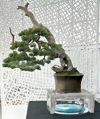 Bonsai De-constructed