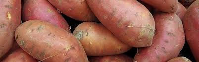 However, they are not related. Sweet Potatoes Produce Blue Book