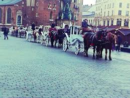 Besides cracovia scores you can follow 1000+ football competitions from 90+ countries around the world on flashscore.com. Giro In Carrozza A Cracovia Bild Von Krakau Lesser Poland Province Tripadvisor