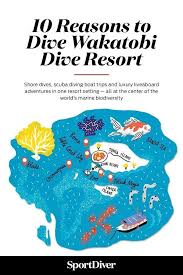10 Reasons To Go Scuba Diving At Wakatobi Dive Resort In Indonesia Wakatobi Brings To The Table Shore Dives Scuba Divi Scuba Diving Quotes Diving Dive Resort