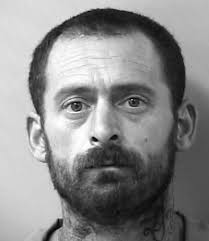 Trees down, power outages were plentiful after storm