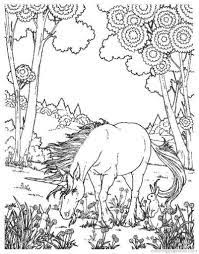Difficult And Hard Coloring Page Of Realistic Unicorn Letscolorit Com Unicorn Coloring Pages Horse Coloring Pages Animal Coloring Pages