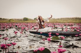 Red lotus lake in udonthani is spread over 8,000 acres in the northeast of thailand. The Ultimate Guide To The Red Lotus Sea Thailand