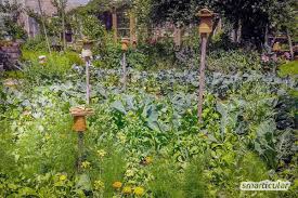 Zum beispiel die schaffung terrassierter ebenen, absicherung der ebenen, deren gestaltung und bepflanzung. Gartenkalender Saen Dungen Und Ernten Im Garten Und Auf Dem Balkon