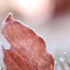 Enesalf enes çakmak son dakika trafik kazası mı geçirdi? Enes Cakmak Enescakmak Twitter