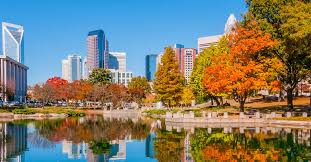 Maybe you would like to learn more about one of these? North Carolina Tree Identification Guide