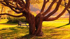 Nature Love Wallpaper Hd Pixelstalk Net Support us by sharing the content, upvoting wallpapers on the page or. nature love wallpaper hd pixelstalk net