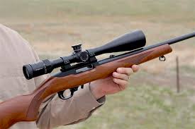 We did not find results for: What Rail Comes With Ruger 10 22 Gun Goals