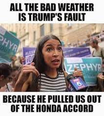 A group calling itself the trump accountability project sprung up to heed aoc's call. Aocisms