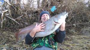 Mladicu lovi 28 majstora udice. 23kg Mladica Rijeka Drina Youtube