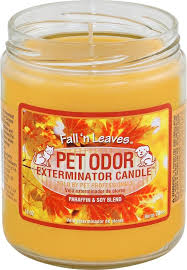 Each candle weighs 13 oz. Candle Fall N Leaves Buy Online In Angola At Angola Desertcart Com Productid 11328768