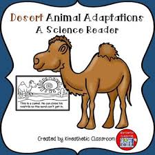 Desert Animal Adaptations Science Reader Desert Animals Adaptations Animal Adaptations Adaptations Science