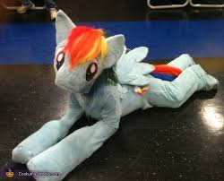 Tales of canterlot high 6 my little pony equestria girls: Rainbow Dash My Little Pony Costume