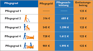 Pflegegeldberechnung beispiele / rente rentenanspruche pflegende angehorige pflege beispiele für die berechnung der pflegeversicherung kosten: Pflegegeld Pflegesachleistung Oder Beides Sozialverband Vdk Deutschland E V