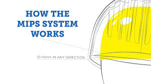 Molecular imaging program aat stanford How The Mips System Works Youtube