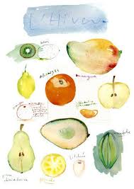 Pin On Food Sketches