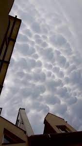 Chmura mammatus najprościej ujmując mammatus to „bąble na zachmurzonym niebie, któro wygląda jak z horroru. Zlprenmsyt6n5m