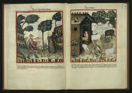 Ornaments Marriott Library